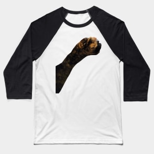 Lucky Cats Foot Baseball T-Shirt